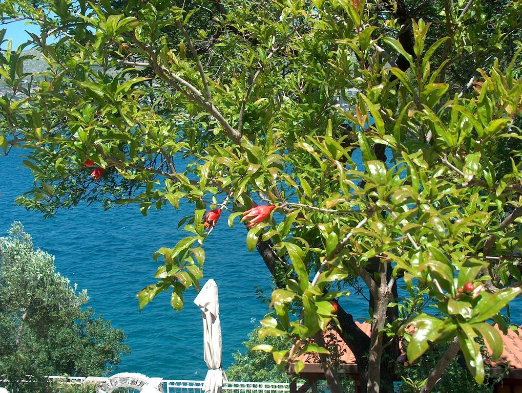 Villa Blanka Donji Okrug  Kültér fotó